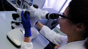 Scoperto il circuito cerebrale al cuore del Parkinson, possibili terapie mirate