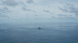 Les oc&eacute;ans proches de leur record de chaleur