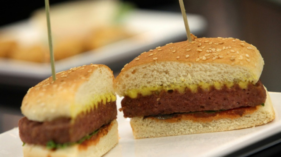 Les substituts v&eacute;g&eacute;taux &agrave; la viande et au lait tr&egrave;s b&eacute;n&eacute;fiques pour la nature et le climat