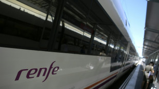 L'espagnol Renfe lancera ses premi&egrave;res liaisons TGV en France le 13 juillet