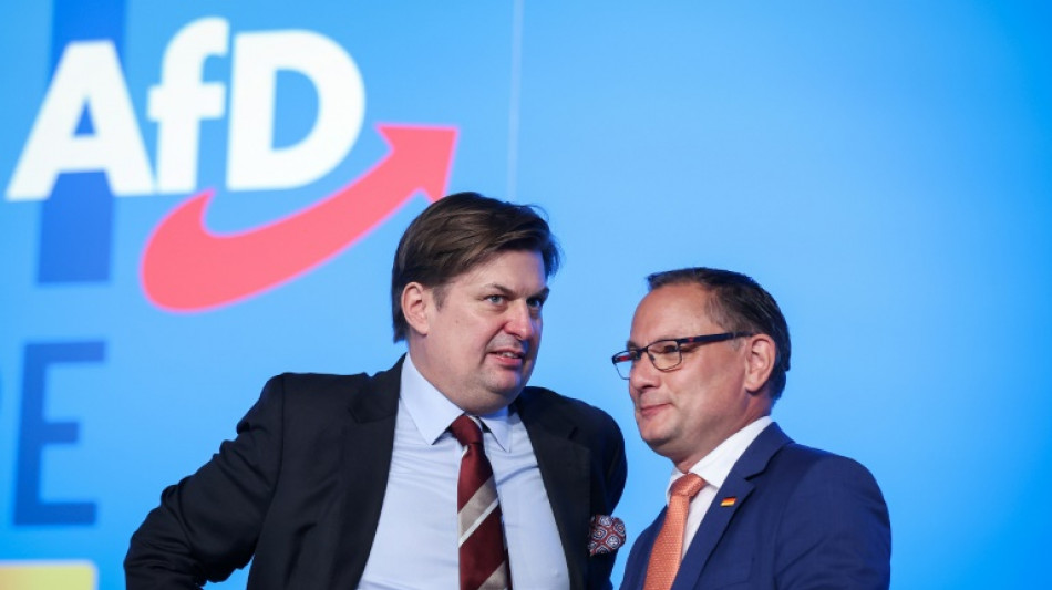 AfD beginnt mit Aufstellung ihrer Kandidatenliste f&uuml;r Europawahl