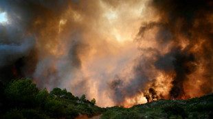 Journée décisive dans l'Aude pour combattre l'incendie d'une ampleur inédite