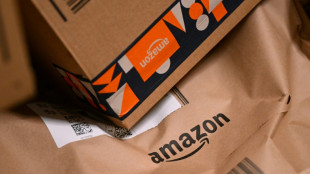 March&eacute; du livre: Amazon &eacute;value &agrave; 100 millions d'euros les frais de port pay&eacute;s par les Fran&ccedil;ais