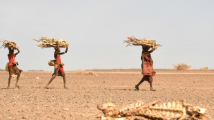 Somalie: un million de personnes d&eacute;plac&eacute;es par la s&eacute;cheresse