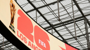 Fu&szlig;ball-WM: Kalifornien pr&uuml;ft m&ouml;gliche Verst&ouml;&szlig;e beim Ticket-Verkauf
