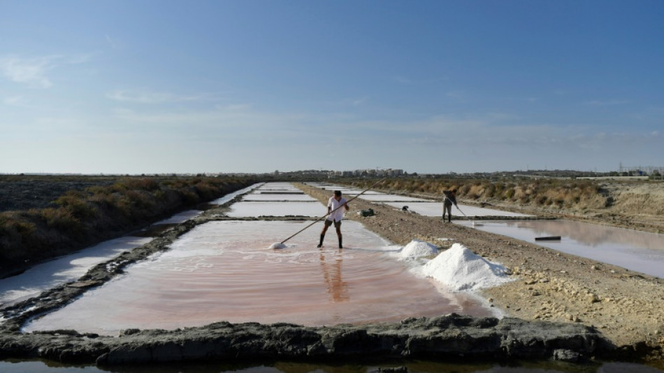 En la bah&iacute;a de C&aacute;diz, las salinas milenarias recuperan esplendor