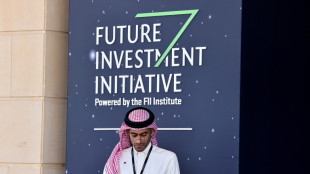 Saudi airport closure disrupts life in kingdom's capital
