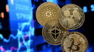 La stretta sulle cripto-attivit&agrave; va in Cdm tra multe e vigilanza