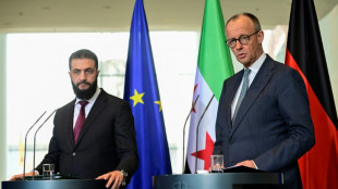 Merz' &Auml;u&szlig;erung zur R&uuml;ckkehr von Syrern st&ouml;&szlig;t auf breite Kritik