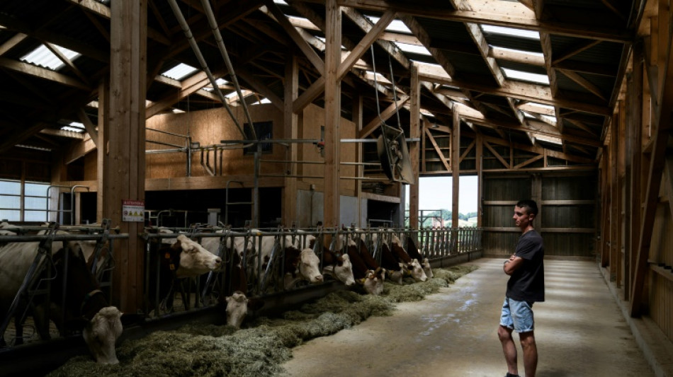 Dermatose: Savoie, Jura puis Sud-Ouest, les diff&eacute;rentes vagues de l'&eacute;pizootie