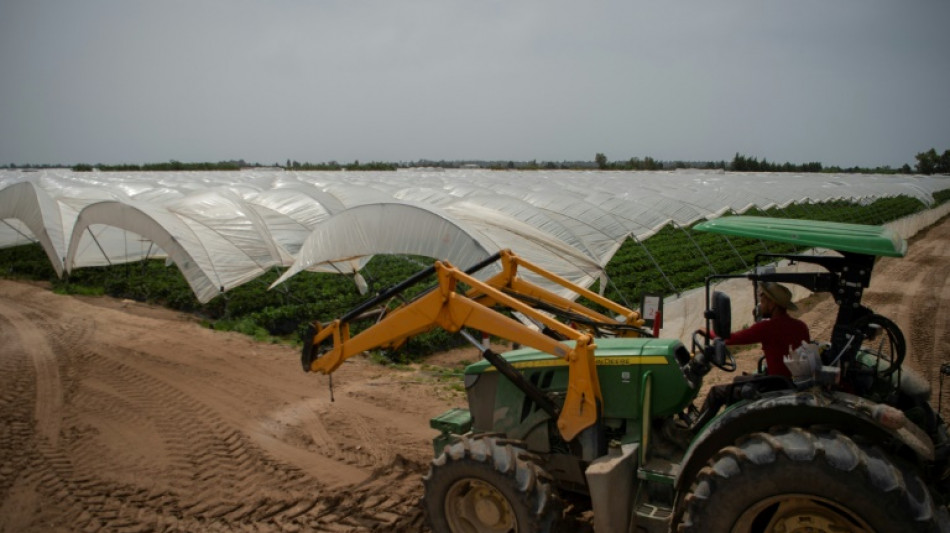 Campact dringt weiter auf Verkaufsboykott f&uuml;r Erdbeeren aus spanischem Huelva
