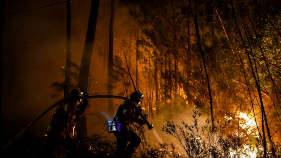 Feuerwehr k&auml;mpft gegen mehrere Waldbr&auml;nde in Urlaubsregionen in S&uuml;dfrankreich