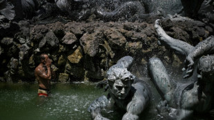 Un estr&eacute;s t&eacute;rmico sin precedentes golpe&oacute; Europa durante su verano m&aacute;s caluroso