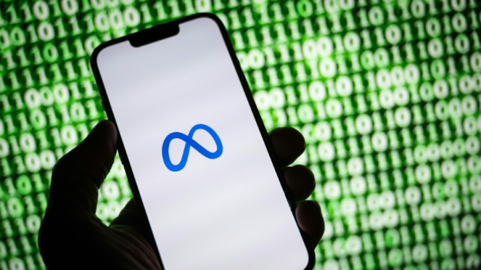 EU bans Meta's use of personal data for behavioural advertising