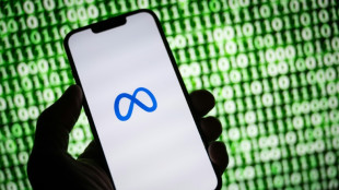 EU bans Meta's use of personal data for behavioural advertising