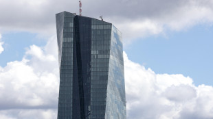 Studio Bce, 'lento recupero credito dell'eurozona malgrado taglio tassi'