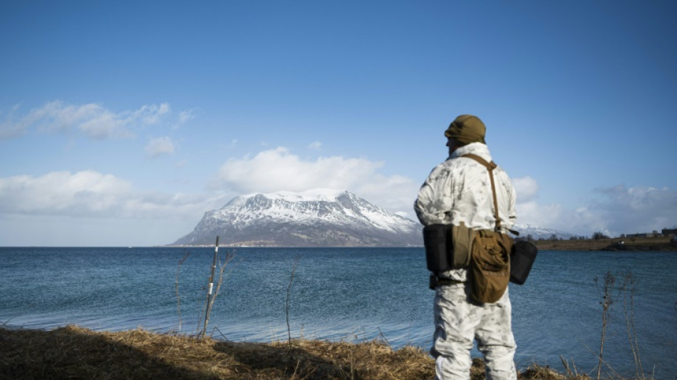 En el &Aacute;rtico, soldados de la OTAN se entrenan para el combate en temperaturas heladas