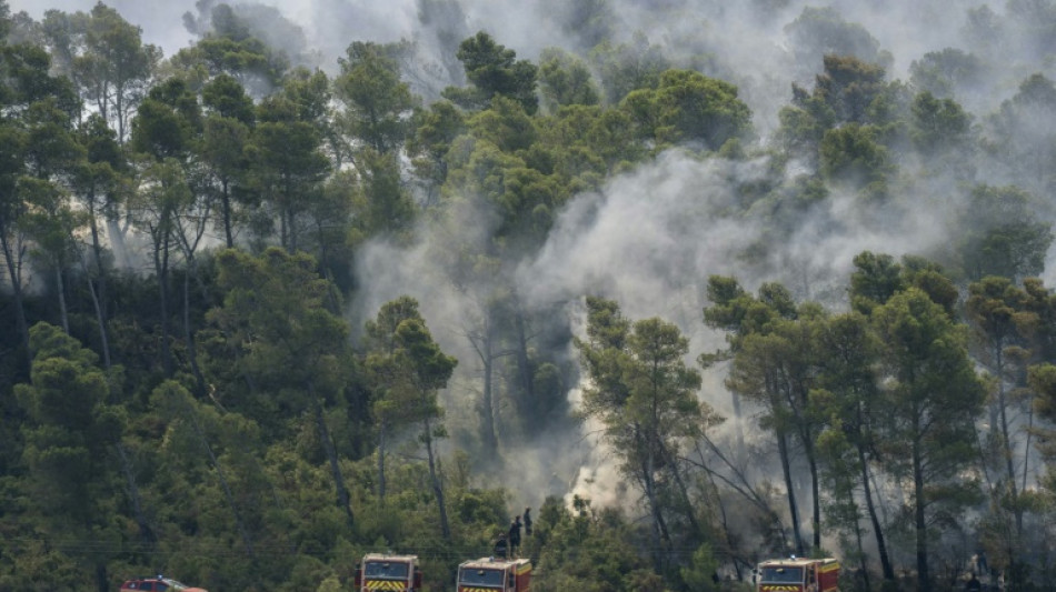 À Saint-Laurent-de-la-Cabrerisse, le désespoir des vignerons sinistrés par le feu