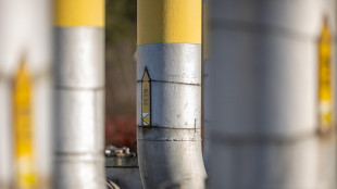 Il gas naturale apre in rialzo a 34,72 euro al Ttf di Amsterdam