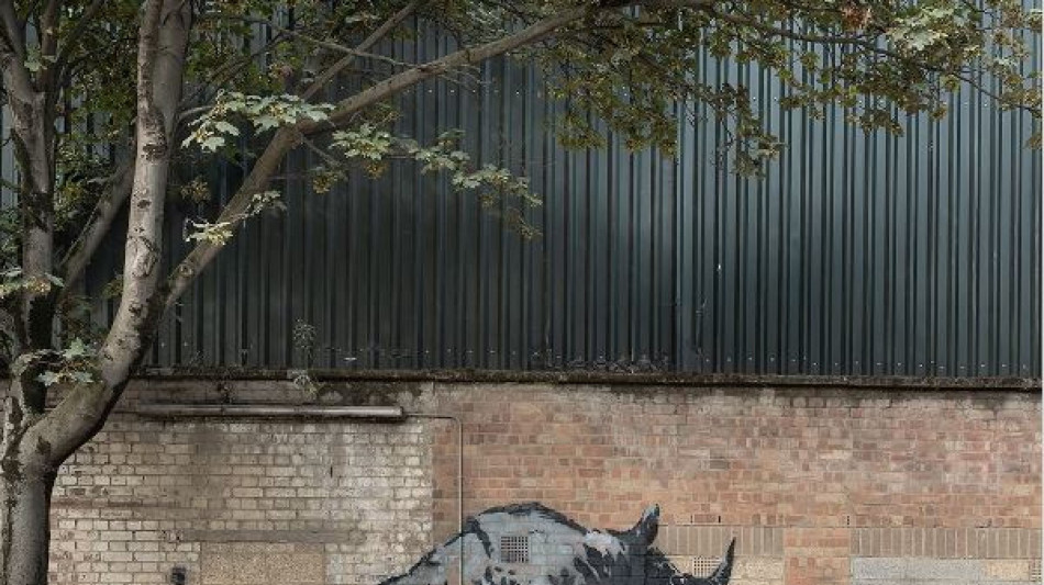Banksy, nello zoo l'ottavo giorno &egrave; del rinoceronte