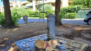 Le ondate di calore minacciano la capacit&agrave; riproduttiva