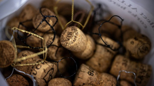 Erntebeginn f&uuml;r Champagner-Trauben in diesem Jahr so fr&uuml;h wie nie