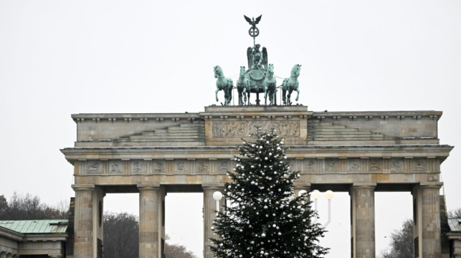 Des activistes du climat d&eacute;capitent le sapin de No&euml;l de Berlin
