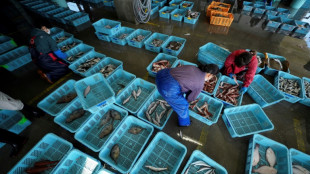 China reanudar&aacute; "gradualmente" las importaciones de productos del mar provenientes de Jap&oacute;n