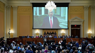La commission d'enqu&ecirc;te sur l'assaut du Capitole promet des &eacute;l&eacute;ments "surprenants"