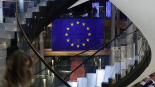 L'Ue lancia Raise, l'istituto scientifico virtuale per l'IA