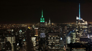 Les lumi&egrave;res de New York sous le feu des associations &eacute;cologistes