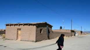 Argentina quiere el control del litio, desde el salar hasta los autos el&eacute;ctricos