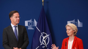 Von der Leyen vede Rutte, 'Ue e Nato uniti, alziamo la pressione su Mosca'