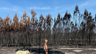 Tourists slowly return to French bay opposite huge wildfire
