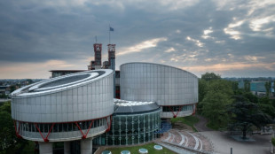 Menschenrechtsgericht urteilt &uuml;ber Inhaftierung Nawalnys in Russland