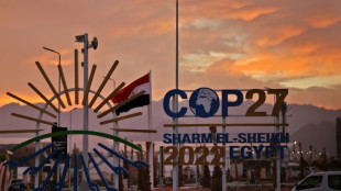 COP27: d&eacute;saccords persistants &agrave; l'or&eacute;e de la derni&egrave;re ligne droite