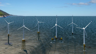 Aero, già approvati 4 progetti di eolico offshore per 2,2 Gw