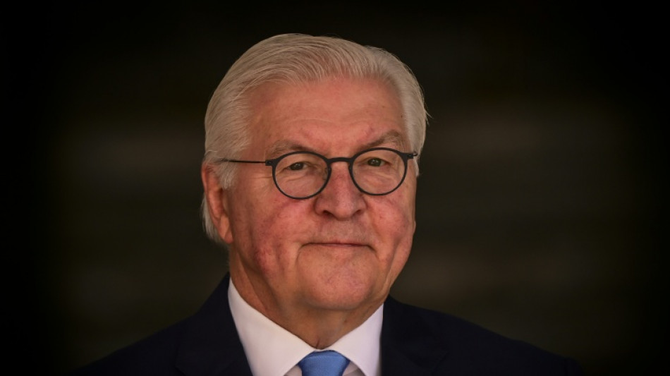 US-Israeli war on Iran is 'breach of international law': German president