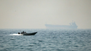 UN Security Council delays vote on authorizing force to protect Hormuz