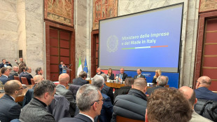 Al via il tavolo nazionale sull'automotive presieduto da Urso