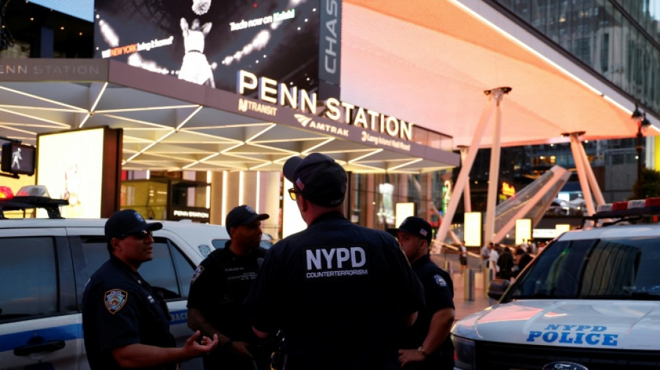Five injured in stabbing at New York's Penn Station: fire dept