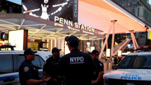 Five injured in stabbing at New York's Penn Station: fire dept