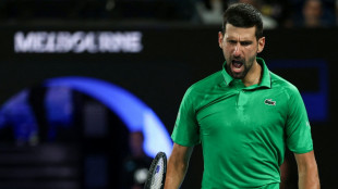 Djokovic knackt Sinner und bucht Finale gegen Alcaraz