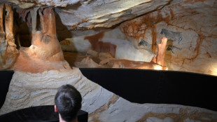 Cosquer: une r&eacute;plique du "Lascaux sous-marin" ouvre samedi &agrave; Marseille