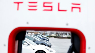 Tesla-Ladenetzwerk in USA kann k&uuml;nftig von anderen E-Auto-Marken genutzt werden