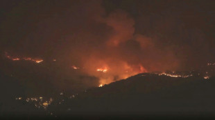 Soldat stirbt im Kampf gegen Waldbrand in Nordspanien
