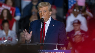 Trump, 'l'Ue pagher&agrave; un prezzo elevato sul commercio'