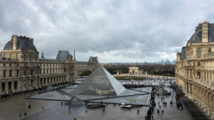 Los ladrones del Louvre podr&iacute;an haber sido detenidos si los hubieran detectado 30 segundos antes