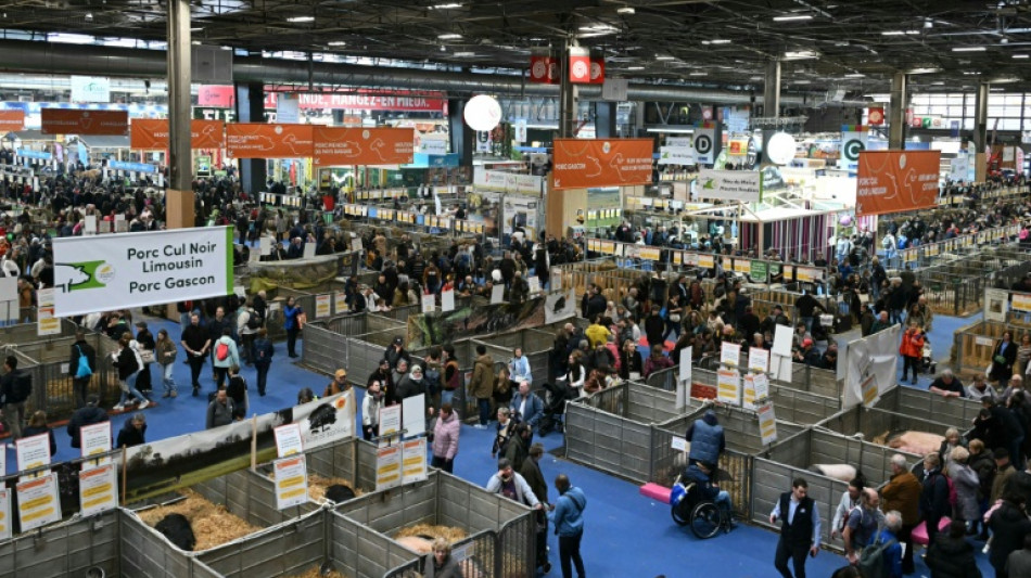 "Un coup dur": le Salon de l'agriculture bouscul&eacute; par l'absence in&eacute;dite de vaches
