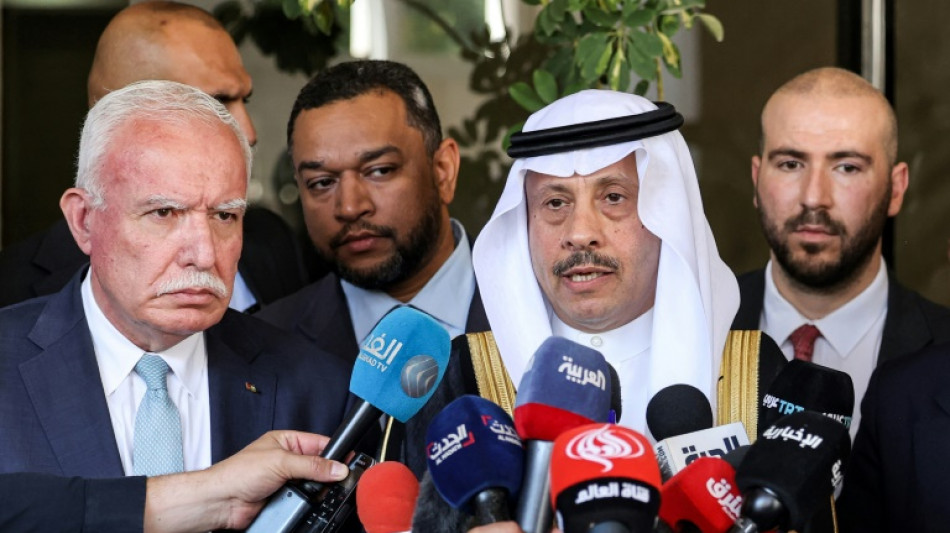 Saudi envoy seeks to reassure Palestinians amid Israel talks